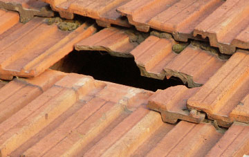 roof repair Nogdam End, Norfolk